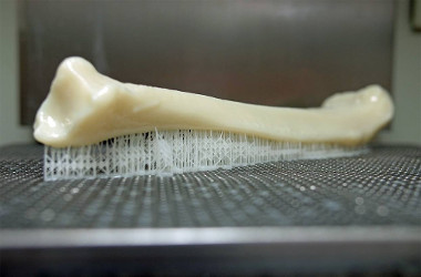 Уникальный пористый материал для создания имплантатов идеально заменит живую кость